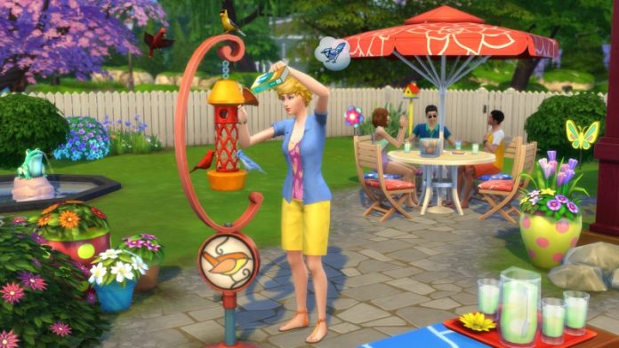 backyard.jpg
