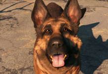 An Ode To Fallout 4’s Dogmeat After Real Life Dog Inspiration Named River Passes Away