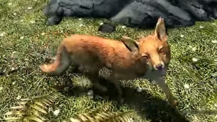 skyrims-myth-of-the-treasure-fox-finally-explained-1629367724516.jpg