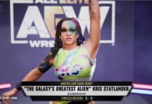 AEW Fight Forever Gets Two More Wrestlers, PC Confirmation